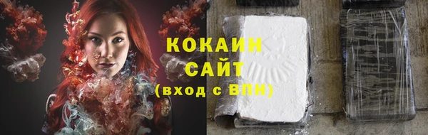 амф Няндома