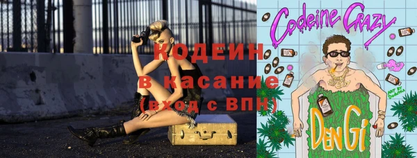 амф Няндома