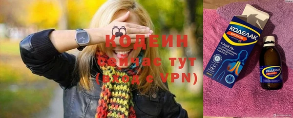 амф Няндома