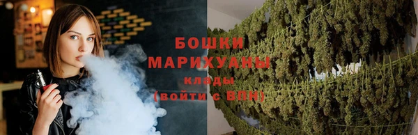 амф Няндома