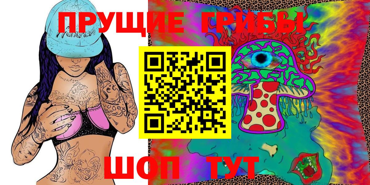 Галлюциногенные грибы мицелий  Галлюциногенные грибы Cubensis  Волжский 
